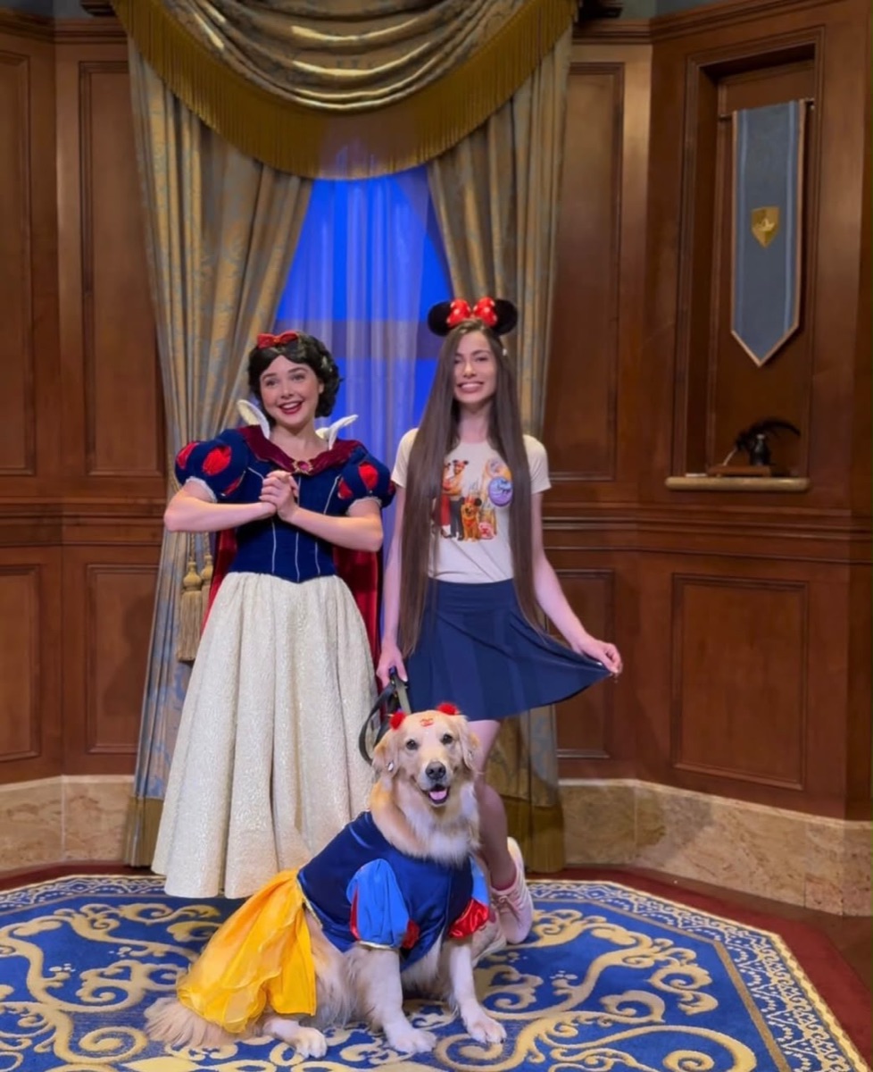 Chanel, Golden Retriever · Cão de serviço, viagem de Brasil para Estados Unidos