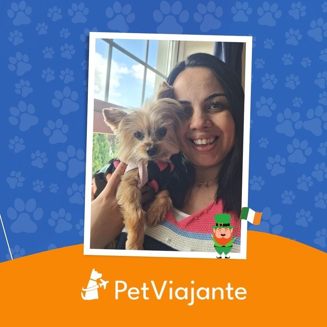 Meggie, Cadela, viagem de Brasil para Irlanda