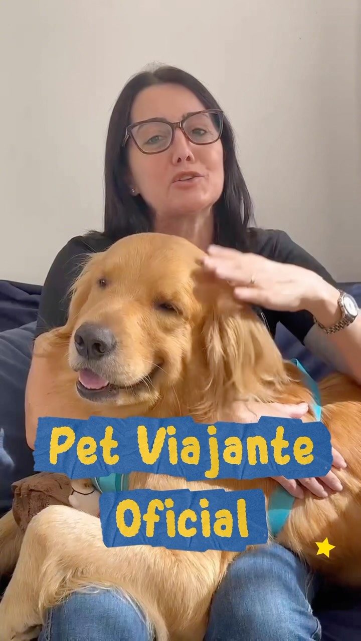 Simba, Golden Retriever, viagem de Brasil para Chile
