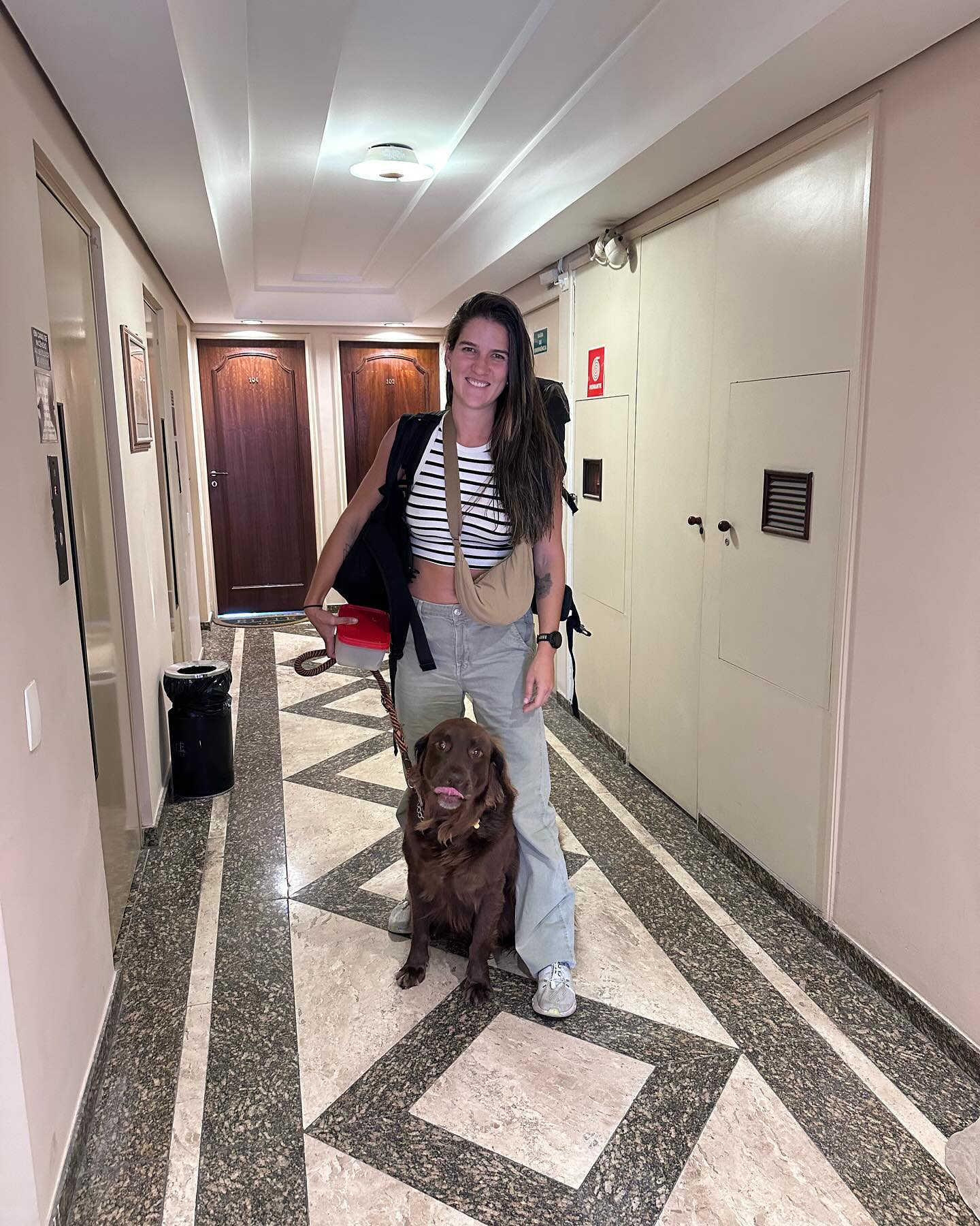 Tino, Cão, viagem de México para Brasil