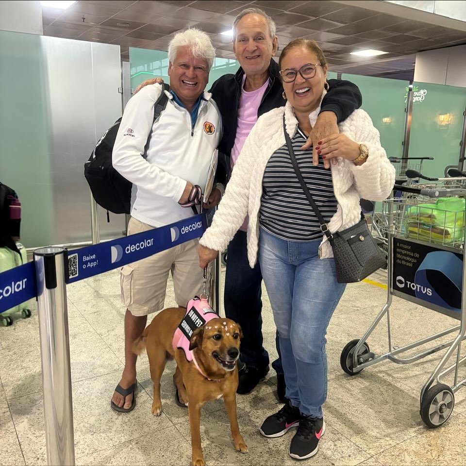 Yume, Cão de serviço, viagem de Brasil para Estados Unidos